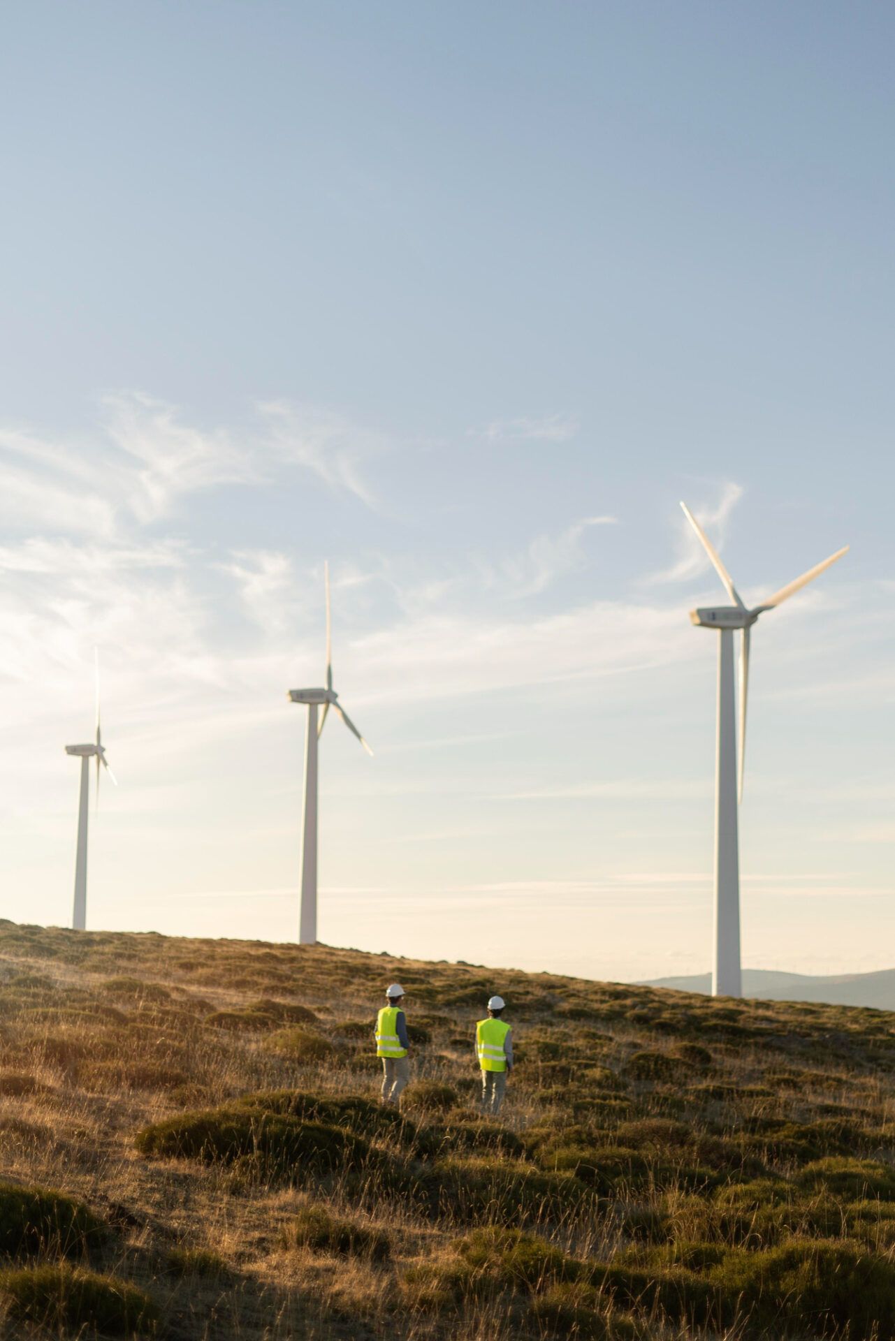 wind farms with people circulearth