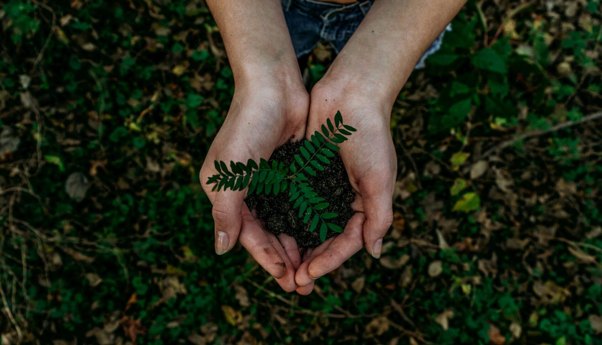 nature circulearth